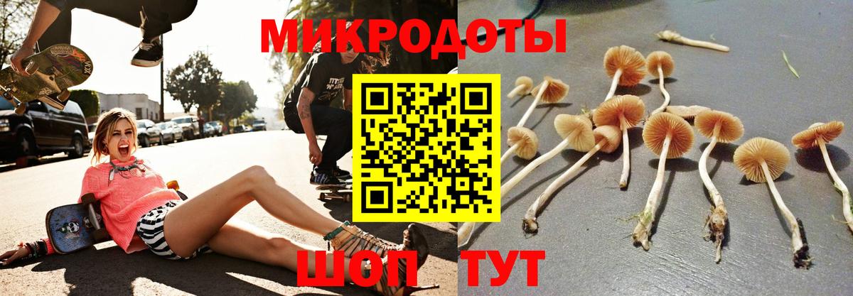 Сатка  Галлюциногенные грибы MAGIC MUSHROOMS  Вход с VPN 