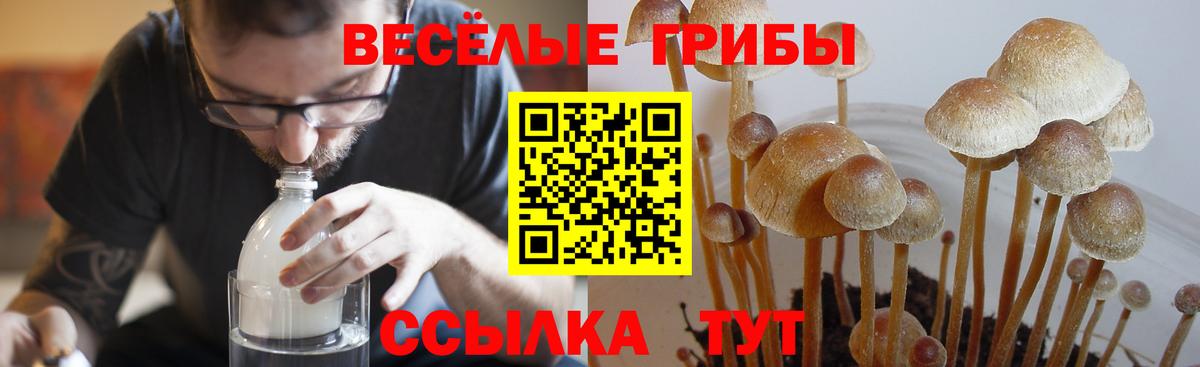 Псилоцибиновые грибы ЛСД Сатка